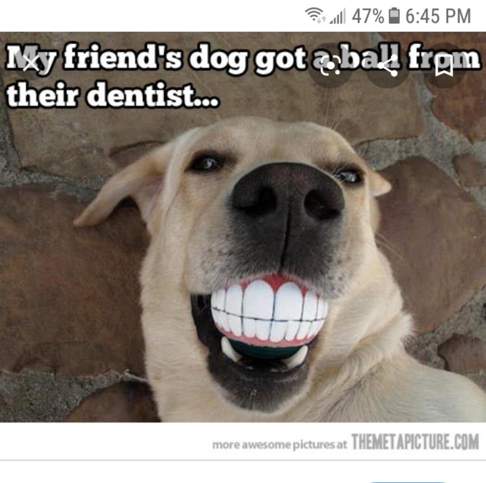 Meet your Posher, Leigh